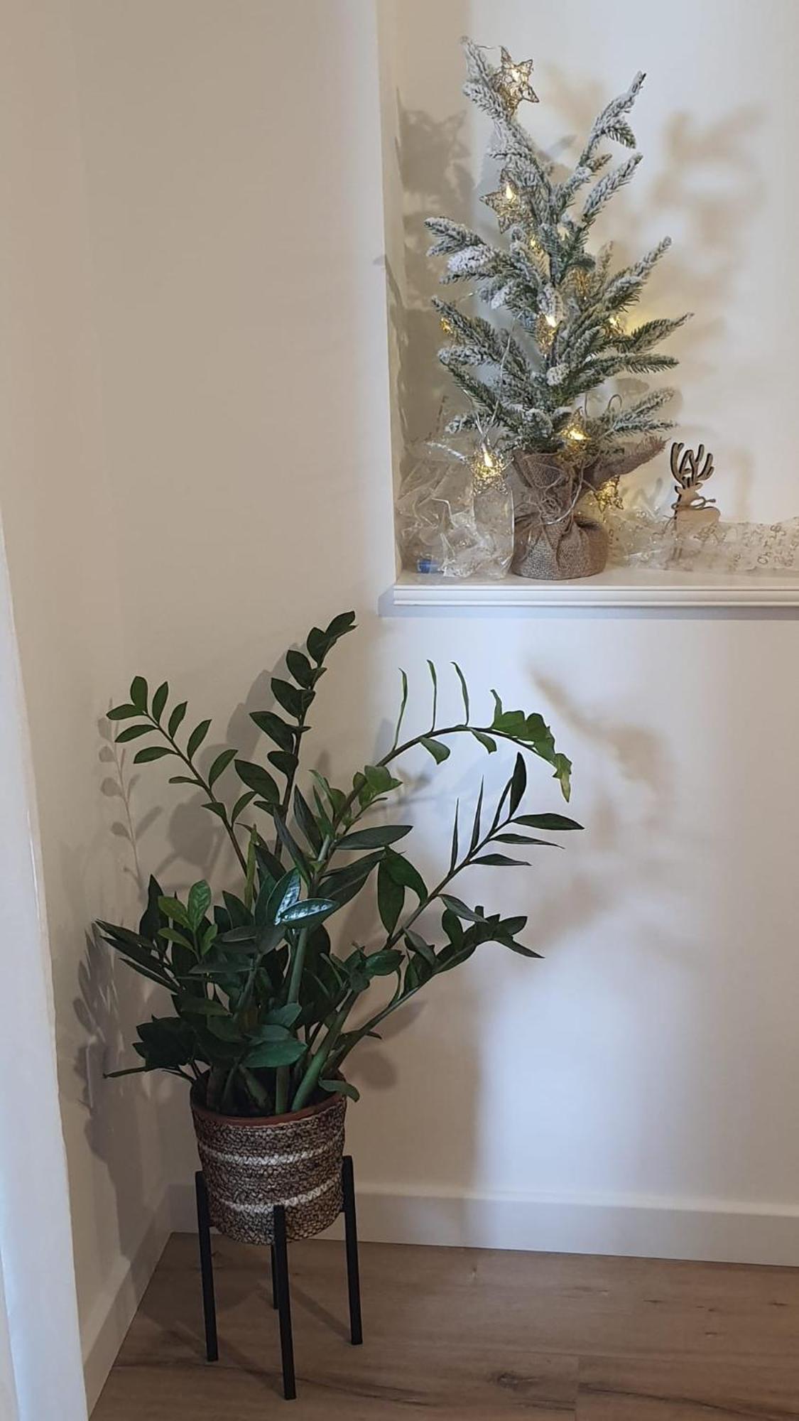 Apartman Lili Split Extérieur photo